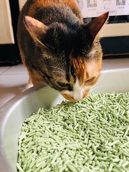 2021222_210222_7.jpg 2021222_210222_7.jpg