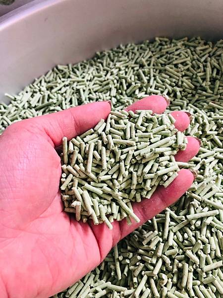 2021222_210222_12.jpg 2021222_210222_12.jpg