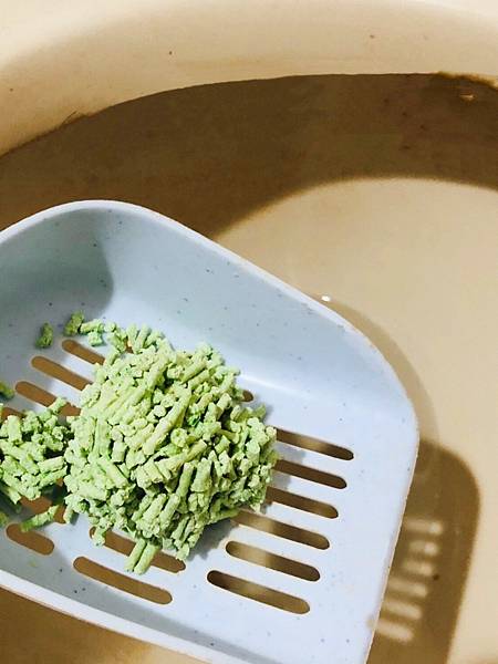 S__61423649.jpg S__61423649.jpg