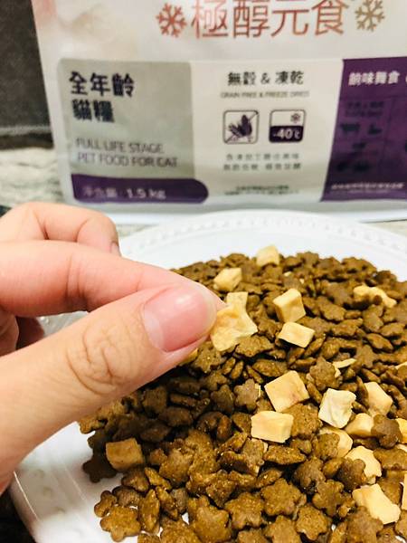 2021811 _1_210816_16.jpg