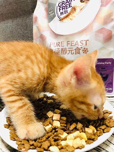 2021811 _1_210816_21.jpg