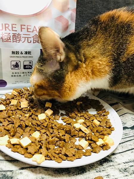 2021811 _1_210816_22.jpg