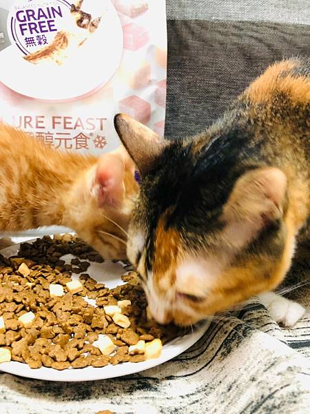 2021811 _1_210816_23.jpg