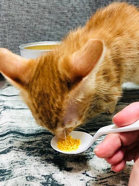 2021811 _1_210816_35.jpg