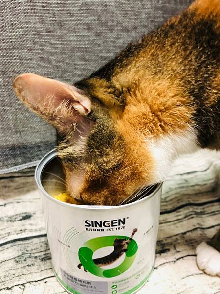 2021811 _1_210816_34.jpg