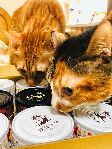 LINE_ALBUM_2022328 _1_220402_45.jpg LINE_ALBUM_2022328 _1_220402_45.jpg