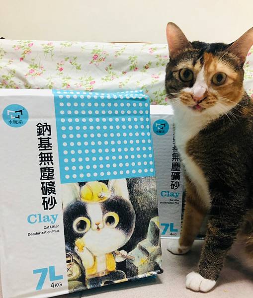 LINE_ALBUM_202294 _1_220904_0.jpg LINE_ALBUM_202294 _1_220904_0.jpg