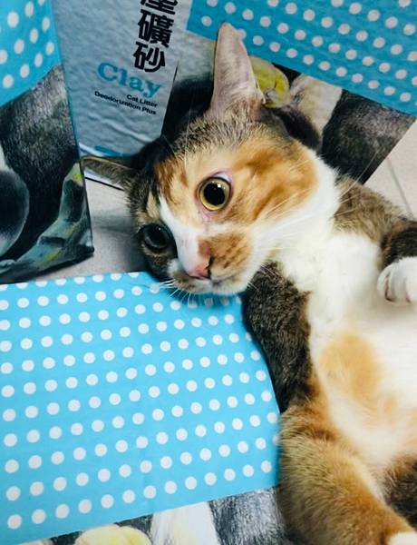 LINE_ALBUM_202294 _1_220904_1.jpg LINE_ALBUM_202294 _1_220904_1.jpg