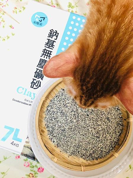 LINE_ALBUM_202294 _1_220904_5.jpg LINE_ALBUM_202294 _1_220904_5.jpg