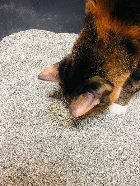 LINE_ALBUM_202294 _1_220904_10.jpg LINE_ALBUM_202294 _1_220904_10.jpg