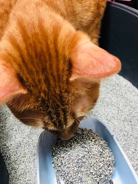 LINE_ALBUM_202294 _1_220904_11.jpg LINE_ALBUM_202294 _1_220904_11.jpg