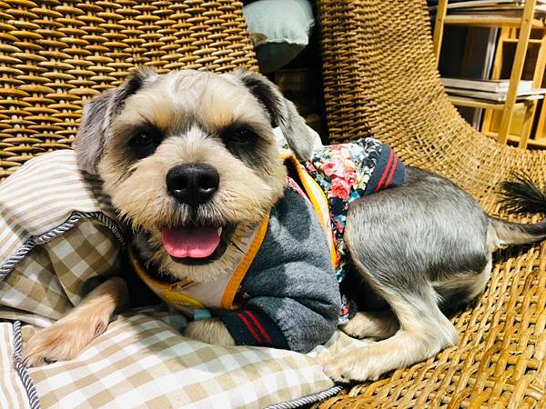 LINE_ALBUM_2022113_221127_18.jpg LINE_ALBUM_2022113_221127_18.jpg