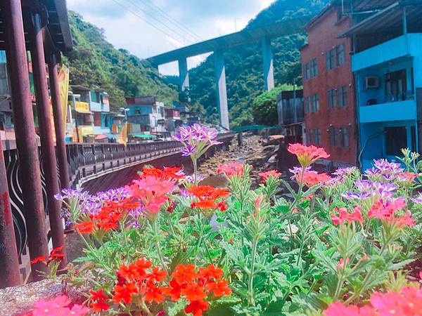 20180805 開🚗去翡翠水庫曬傷_180807_0058.jpg 20180805 開🚗去翡翠水庫曬傷_180807_0058.jpg