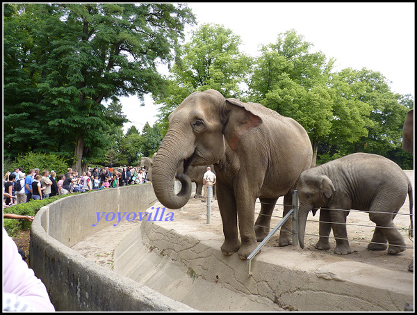 德國 漢堡 哈根貝克動物園 Tierpark Hagenbeck, Hamburg, Deutschland