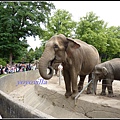 德國 漢堡 哈根貝克動物園 Tierpark Hagenbeck, Hamburg, Deutschland