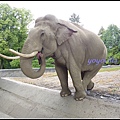 德國 漢堡 哈根貝克動物園 Tierpark Hagenbeck, Hamburg, Deutschland