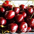 hamburg life, cherry