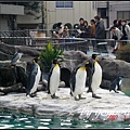 Tokyo Ueno zoo 日本東京上野動物園