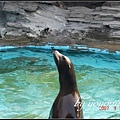 Tokyo Ueno zoo 日本東京上野動物園