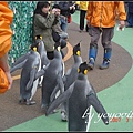 Tokyo Ueno zoo 日本東京上野動物園