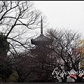 Tokyo Ueno zoo 日本東京上野動物園