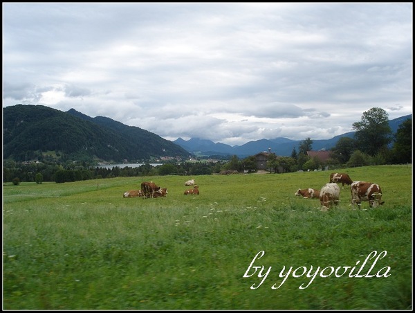 Alpen 阿爾卑司山 