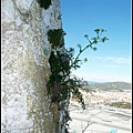 Gibraltar 英屬直布羅陀