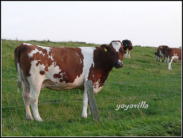 德國 胡蘇姆 Husum, Germany