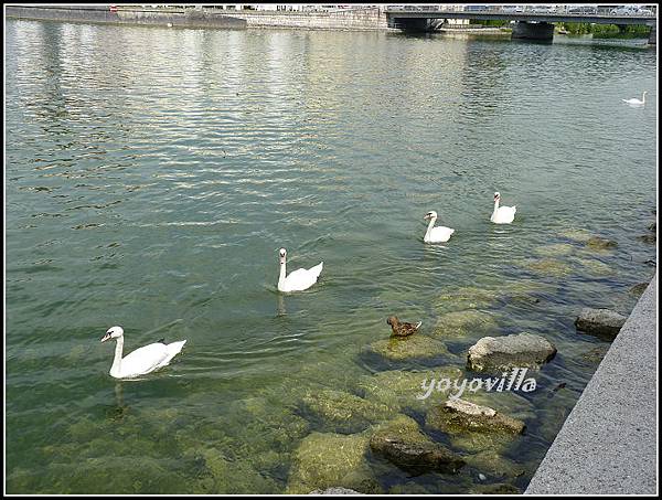 奧地利 格蒙登 Gmunden, Austria 