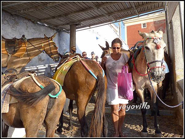 希臘 聖托里尼島 費拉 驢子大道 Fira, Santorini， Greek 