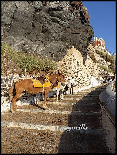 希臘 聖托里尼島 費拉 驢子大道 Fira, Santorini， Greece 