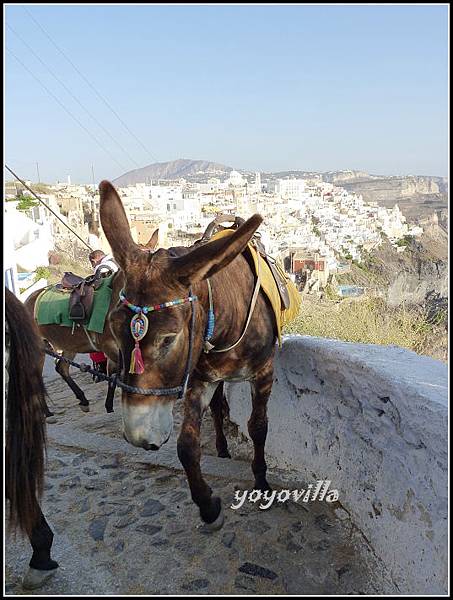 希臘 聖托里尼島 費拉 驢子大道 Fira, Santorini， Greece 