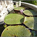 葡萄牙 辛特拉 蒙塞拉特宮 The Monserrate Palace, Sintra, Portugal 