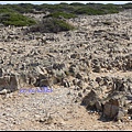 葡萄牙 聖維森特角 Cabo de São Vicente, Portugal 