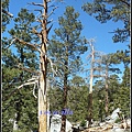 美國 棕櫚泉 纜車 Tramway, Palm Springs, CA, USA