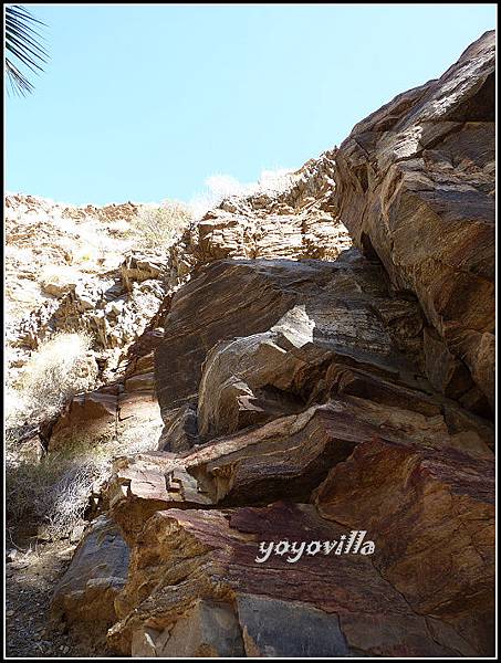 美國 加州 棕 櫚泉 印地安峽谷 峽谷部分 Indian Canyons, Palm Springs, CA, USA