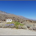 美國 加州 棕 櫚泉 印地安峽谷 峽谷部分 Indian Canyons, Palm Springs, CA, USA