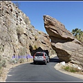 美國 加州 棕 櫚泉 印地安峽谷 峽谷部分 Indian Canyons, Palm Springs, CA, USA