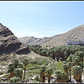 美國 加州 棕 櫚泉 印地安峽谷 峽谷部分 Indian Canyons, Palm Springs, CA, USA