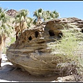 美國 加州 棕 櫚泉 印地安峽谷 峽谷部分 Indian Canyons, Palm Springs, CA, USA