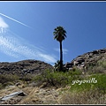 美國 加州 棕 櫚泉 印地安峽谷 峽谷部分 Indian Canyons, Palm Springs, CA, USA