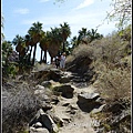 美國 加州 棕 櫚泉 印地安峽谷 峽谷部分 Indian Canyons, Palm Springs, CA, USA