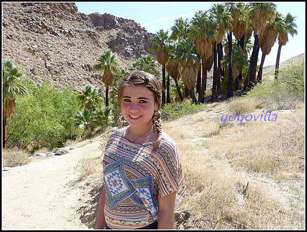 美國 加州 棕 櫚泉 印地安峽谷 峽谷部分 Indian Canyons, Palm Springs, CA, USA