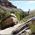 美國 加州 棕 櫚泉 印地安峽谷 峽谷部分 Indian Canyons, Palm Springs, CA, USA