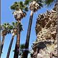 美國 加州 棕 櫚泉 印地安峽谷 峽谷部分 Indian Canyons, Palm Springs, CA, USA