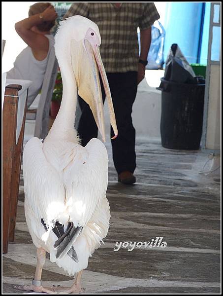 希臘 米科諾斯島 市景 Mykonos, Greece
