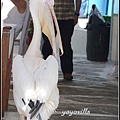 希臘 米科諾斯島 市景 Mykonos, Greece