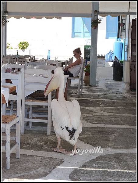希臘 米科諾斯島 市景 Mykonos, Greece