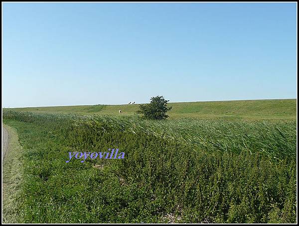 德國 費馬恩  Fehmarn, Germany