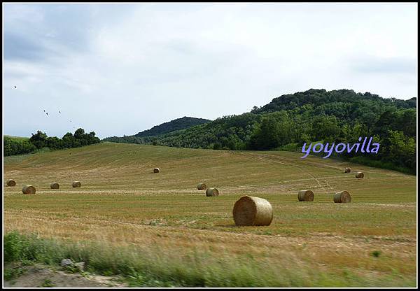 匈牙利 巴拉頓湖 Lake Balaton, Hungary